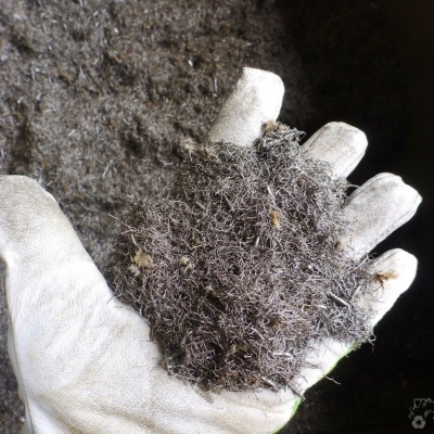 Plant for cleaning tire wires